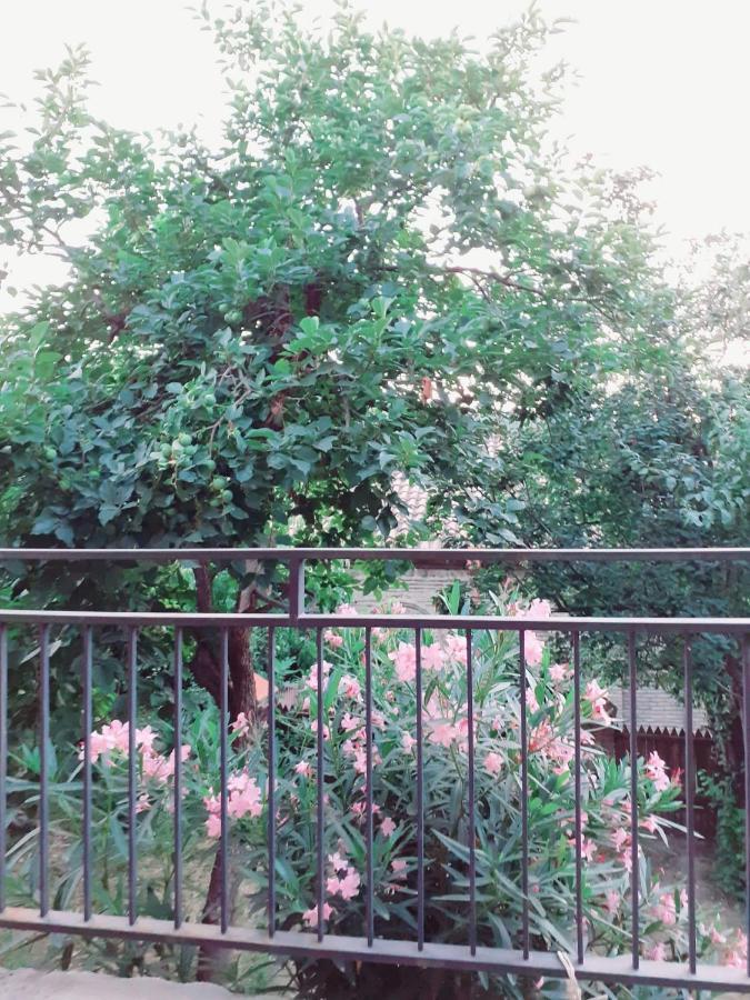 ホテル Kizikis Kari シグナギ エクステリア 写真